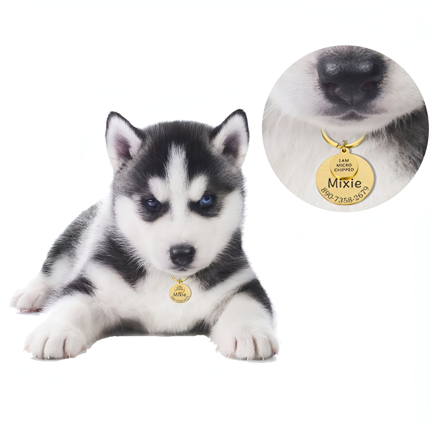 Personalized Pet ID Tag – Safe & Stylish for Dogs & Cats