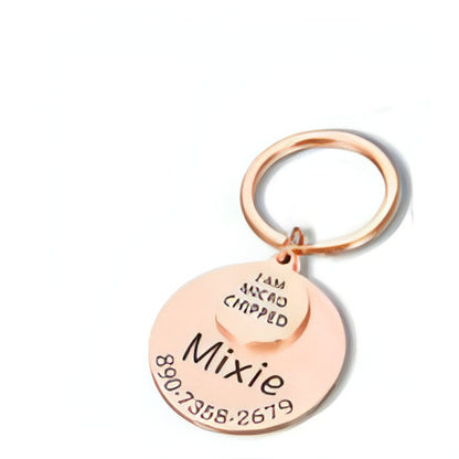 Engraved Anti-Lost Pet ID Tag – Keep Your Furry Friend Safe!