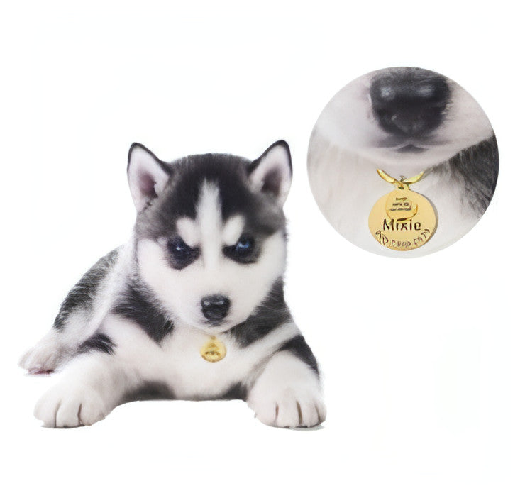 Engraved Anti-Lost Pet ID Tag – Keep Your Furry Friend Safe!