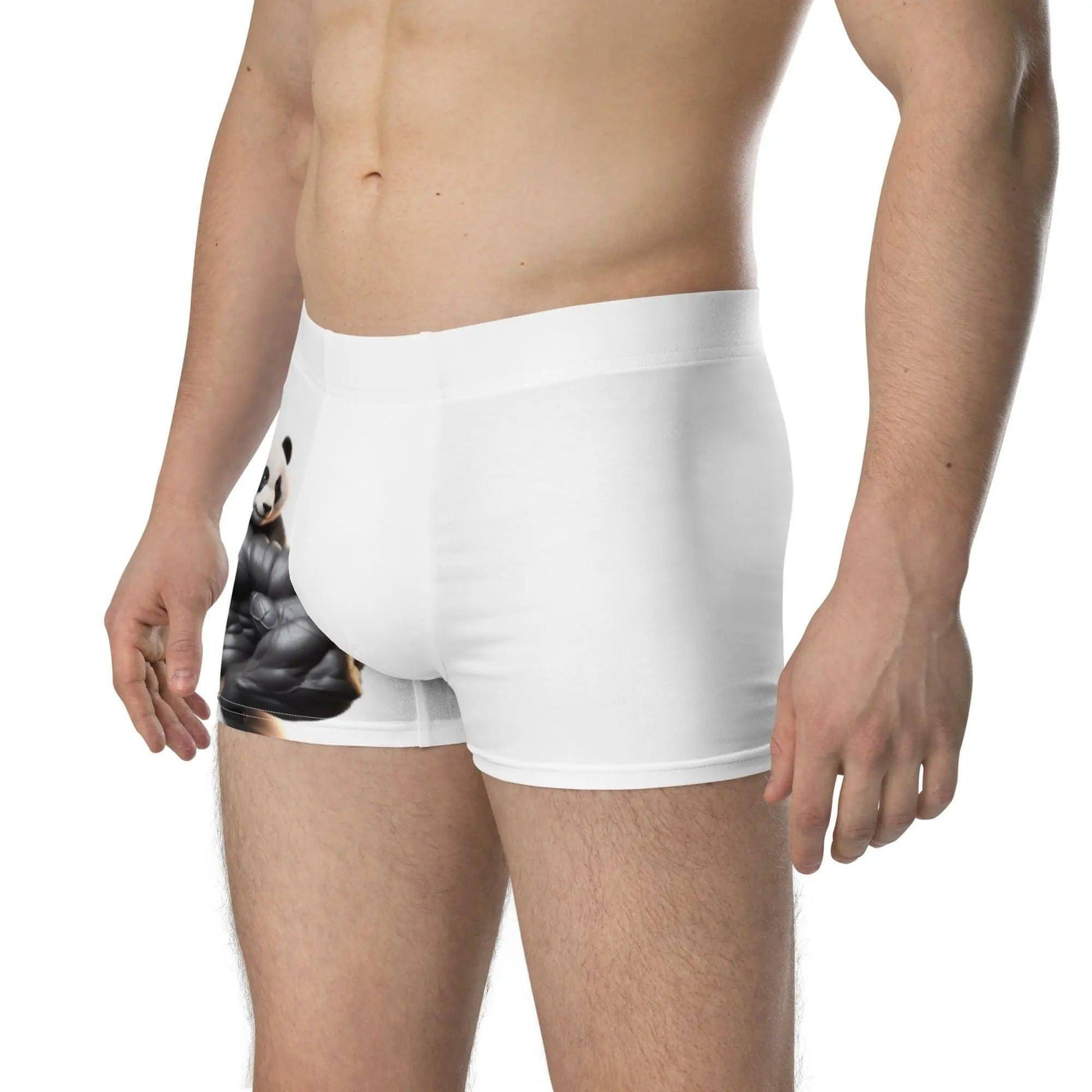 Z. Panda X - Boxer Briefs WORLDSHOP