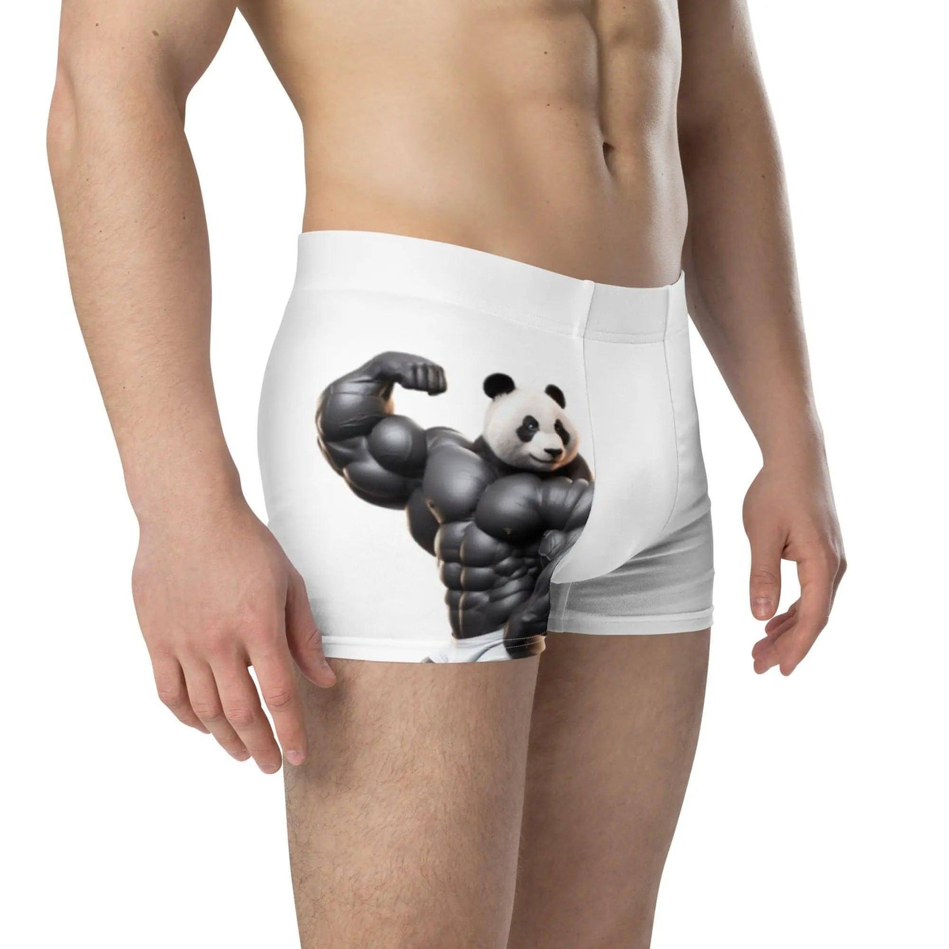 Z. Panda X - Boxer Briefs WORLDSHOP