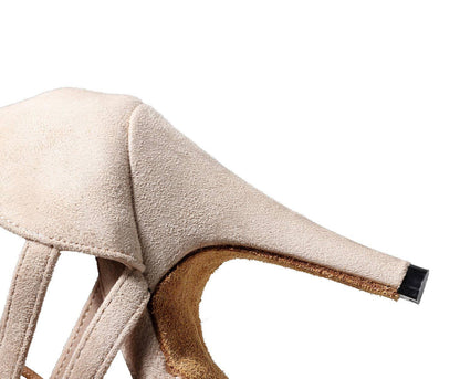 Champagne Modern High Heel Latin Dance Shoe